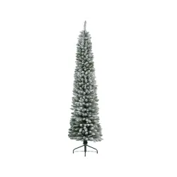 Albero Snowy Pencil Pine