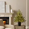 Albero Pino Argentato con Led cm.90 EDG