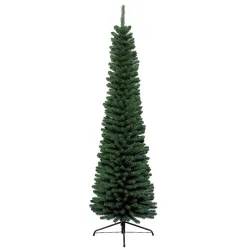 Albero Pencil Pine